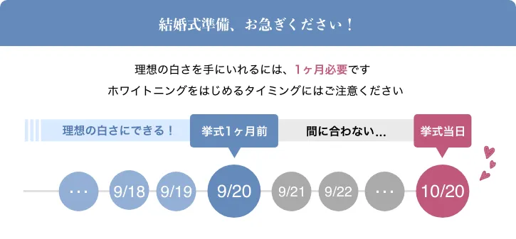 照射範囲が広いからより近づく理想の白さ