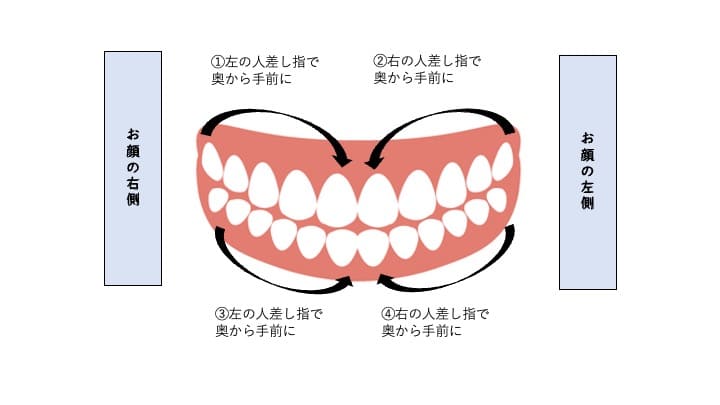 歯茎のイラスト